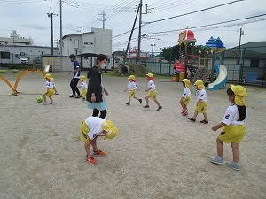 IMG_1950 IMG_1950