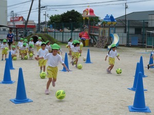 IMG_2803 IMG_2803