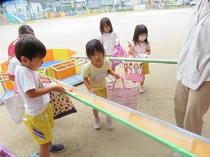 IMG_0212 IMG_0212