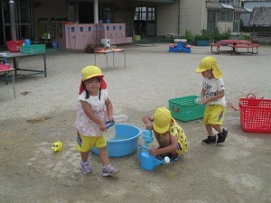 IMG_2334 IMG_2334