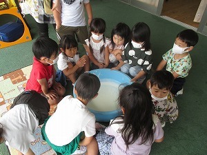 IMG_2470 IMG_2470