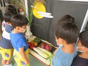 IMG_0442 IMG_0442
