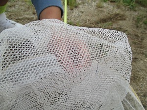 IMG_0075 IMG_0075