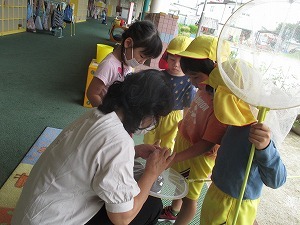 IMG_0060 IMG_0060