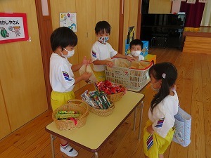 IMG_0527 IMG_0527