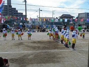 DSCN9966 DSCN9966