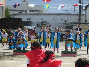IMG_0015 IMG_0015