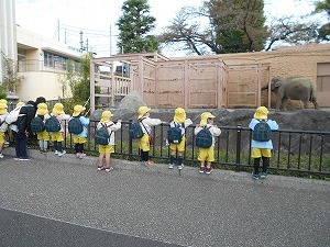 DSCN9729 DSCN9729
