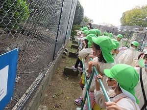 IMG_0762 IMG_0762