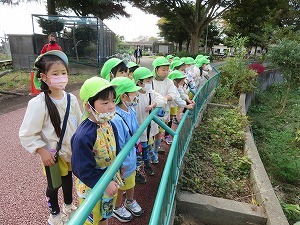 IMG_0765 IMG_0765