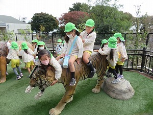 IMG_0769 IMG_0769