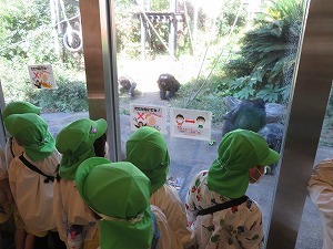 IMG_0806 IMG_0806