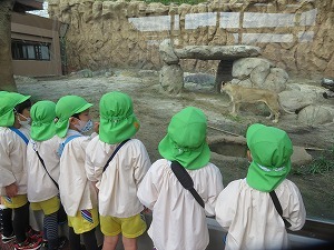 IMG_0768 IMG_0768