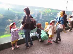 IMG_0617 IMG_0617