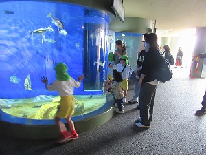 IMG_0293 IMG_0293