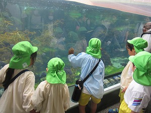 IMG_0297 IMG_0297