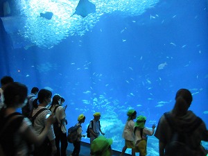 IMG_0306 IMG_0306