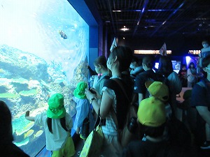 IMG_0322 IMG_0322