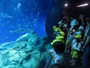 IMG_0620 IMG_0620