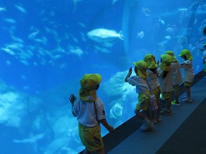 IMG_0621 IMG_0621