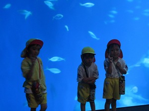 IMG_0630 IMG_0630