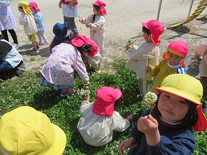 IMG_0489 IMG_0489
