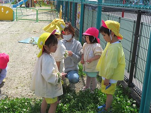IMG_0490 IMG_0490