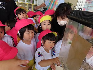 IMG_0633 IMG_0633