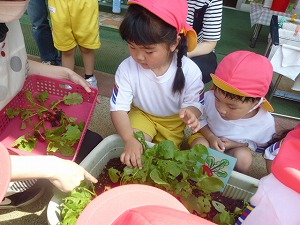 P1020427 P1020427