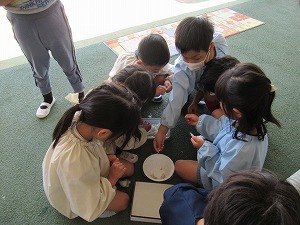 IMG_0039 IMG_0039