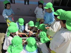 IMG_0093 IMG_0093