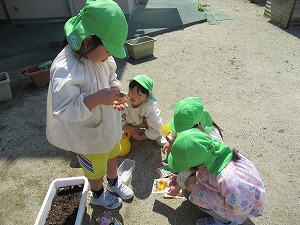 IMG_0149 IMG_0149