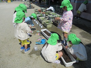 IMG_0151 IMG_0151