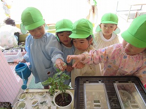 IMG_0154 IMG_0154