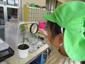 IMG_0164 IMG_0164