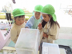 IMG_0168 IMG_0168
