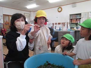 IMG_0017 IMG_0017
