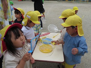IMG_0397 IMG_0397