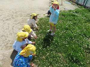 IMG_0482(1) IMG_0482(1)