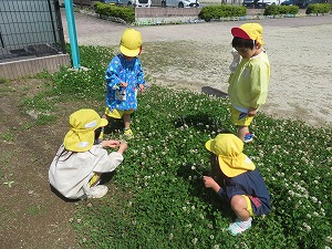 IMG_0484(1) IMG_0484(1)