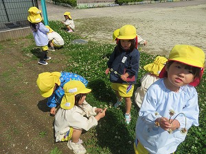IMG_0485(1) IMG_0485(1)