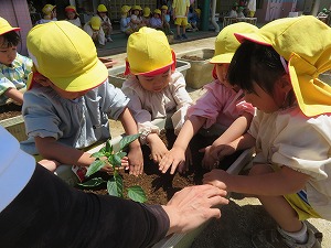 IMG_0530(1) IMG_0530(1)