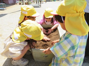 IMG_0532(1) IMG_0532(1)