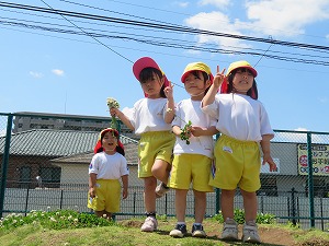 IMG_0593 IMG_0593