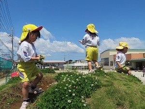 IMG_0591 IMG_0591