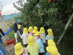 IMG_0007