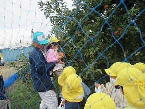IMG_0010