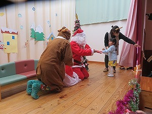 IMG_0493 IMG_0493