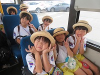 IMG_3238 IMG_3238