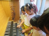 IMG_3277 IMG_3277